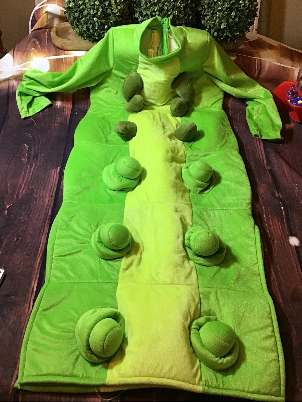 Caterpillar child costume Halloween costume.com size small